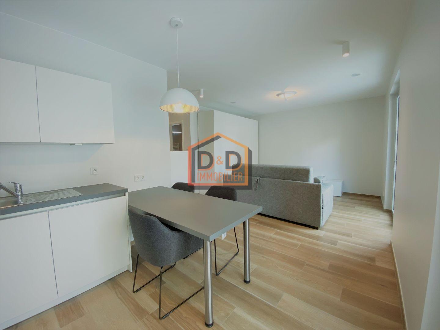 Appartement à Luxembourg-Gasperich, 35 m², 1 350 €/mois